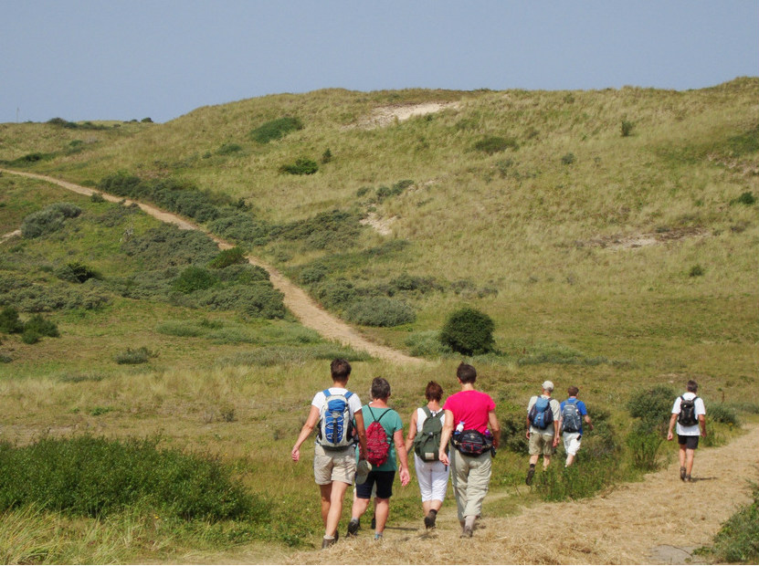 Duin wandelpool.jpg