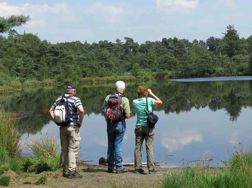 wandelroute Esbeek - De Flaes