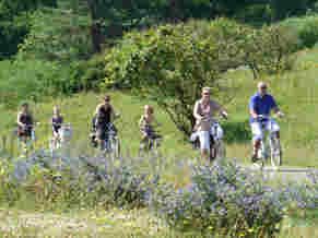 Fietsers - MT.jpg