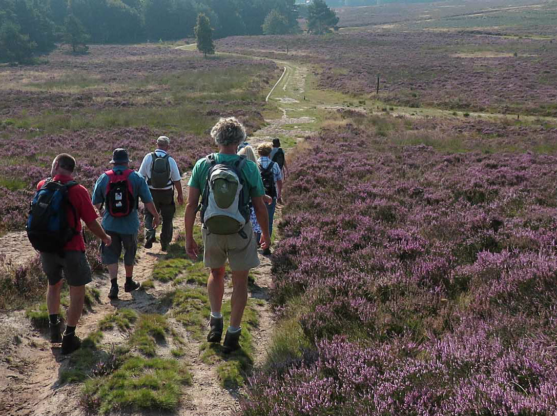 Veelzijdige Veluwe.jpg