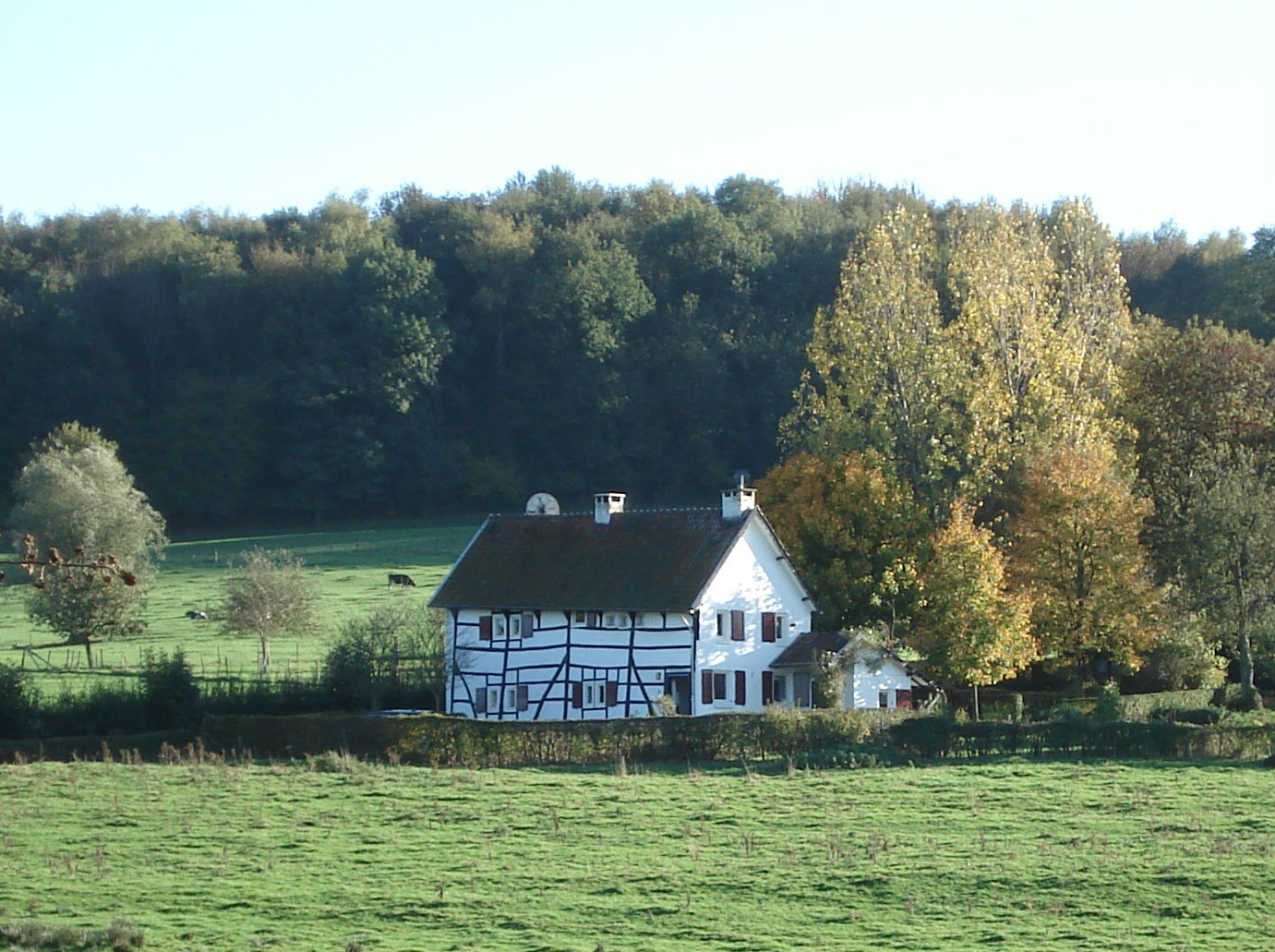 Zuid-Limburg.jpg