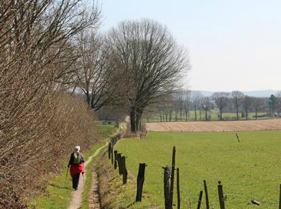 Beek-Ubbergen - wandelen