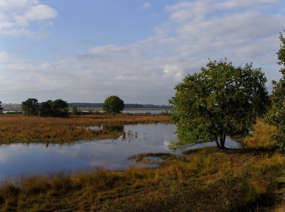 Huis ter Heide.jpg