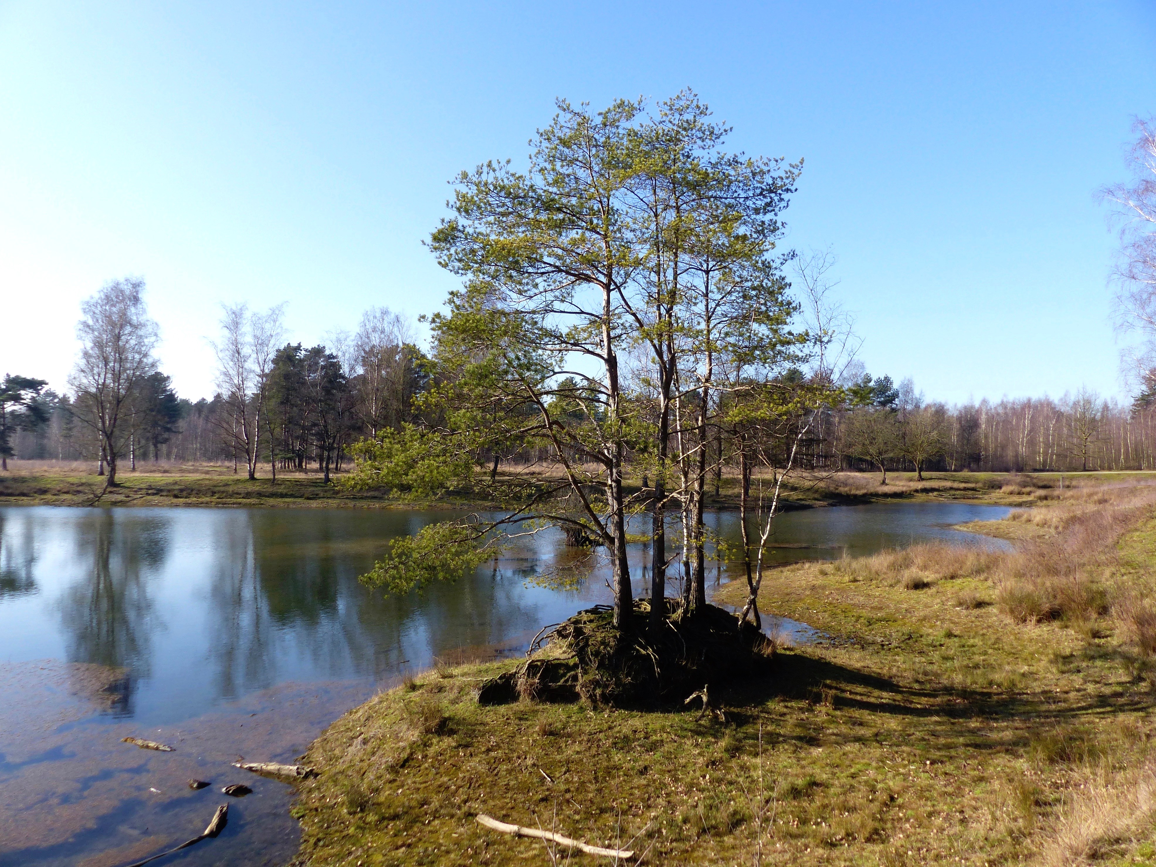 Leemputten.jpg (1)