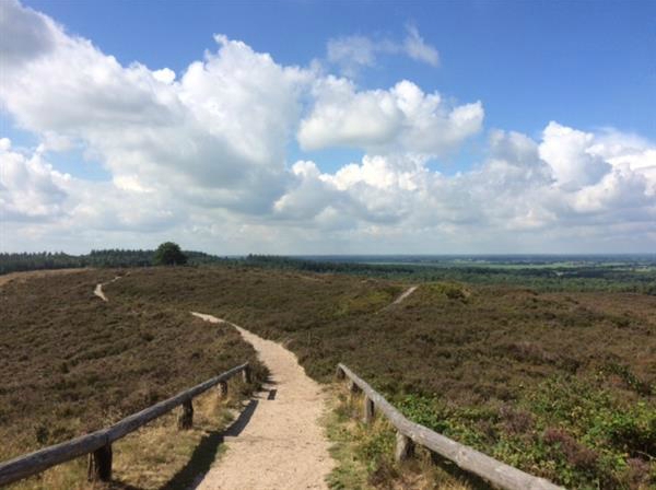 Lopen bij Lemele.jpg