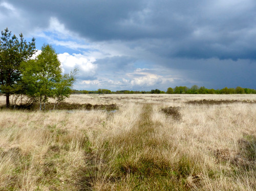 Drenthe