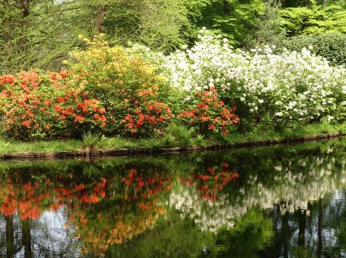Koninklijk Park Het Loo - Apeldoorn