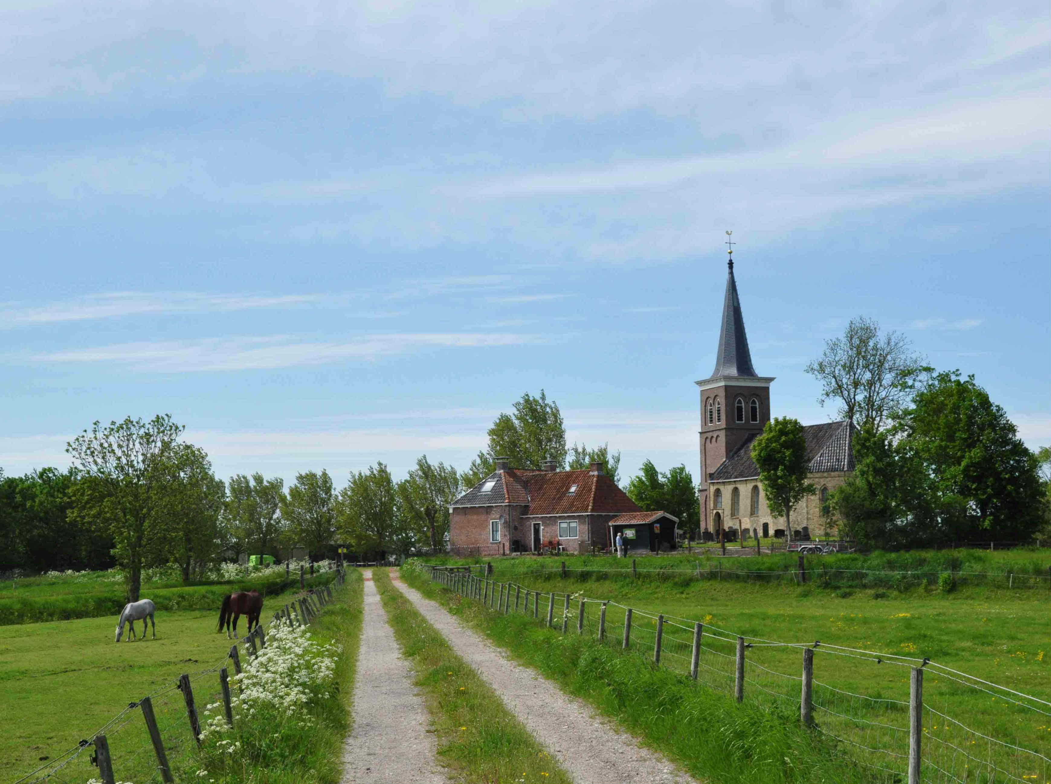 Lions Friesland.jpg
