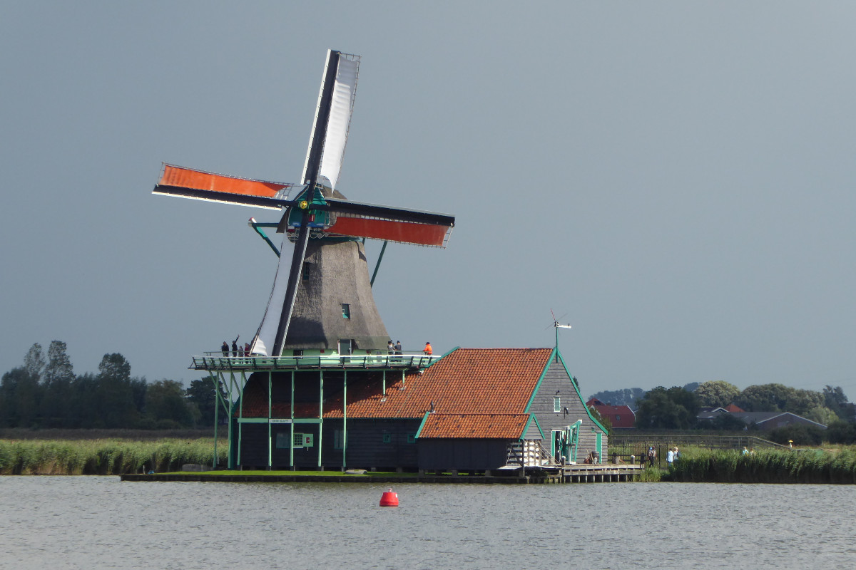De Kat Zaanse Schans.jpg