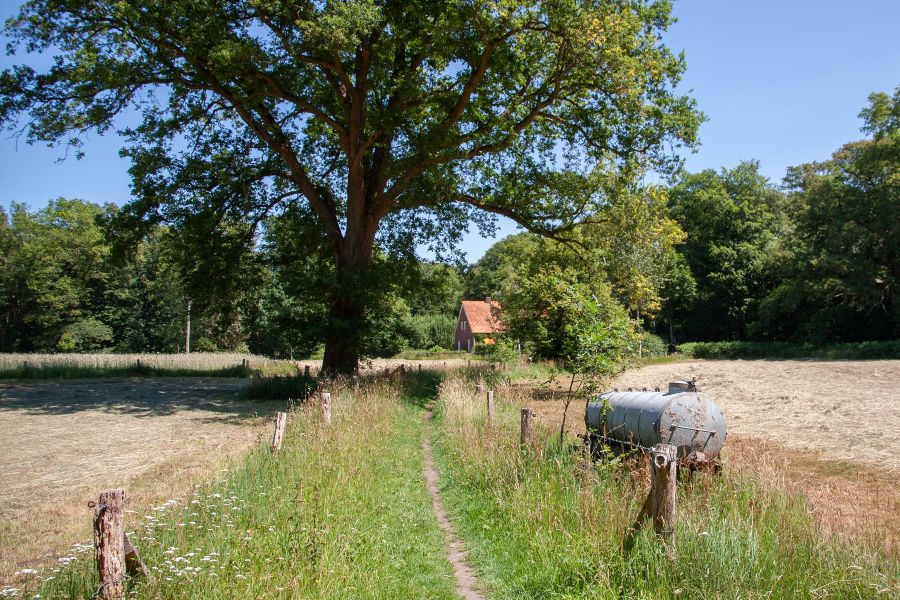 Lonnekerveld(1).jpg